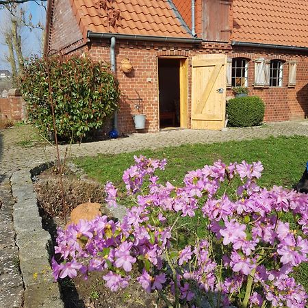 Ferienhaus Voern-Diek Hohnstorf Экстерьер фото